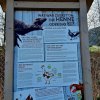 03 b Ringwallrunde